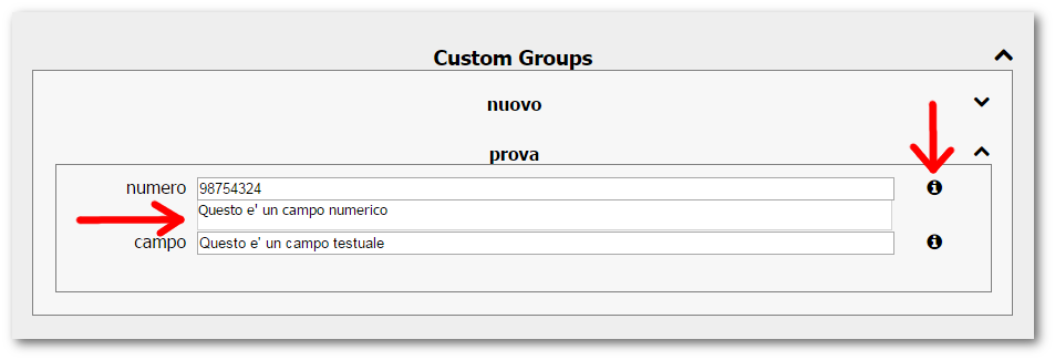 ../_images/configurazione_elemento_custom_groups_open.png